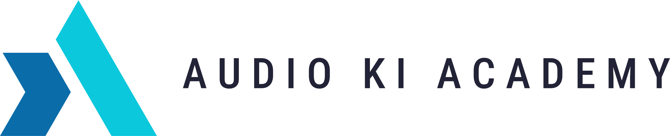 Audio KI Academy